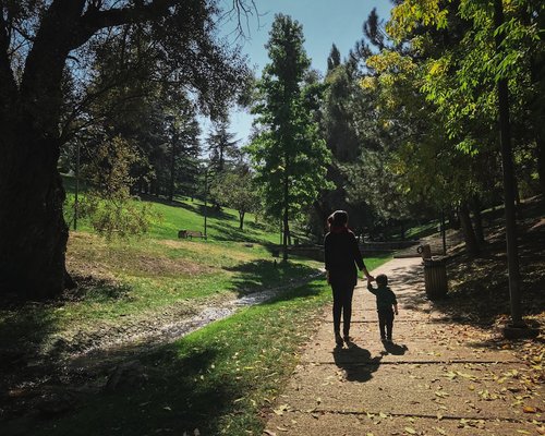 A quiet stroll on a weekend morning in a park